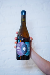 Ploder Rosenberg "Aero" 2016